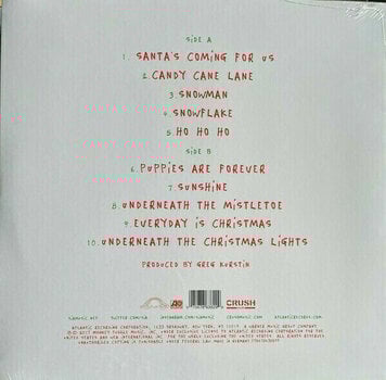 Płyta winylowa Sia - Everyday Is Christmas (White Vinyl) (LP) - 7