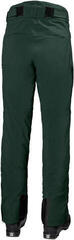 Ski Pants Helly Hansen Alpha Lifaloft Pants Darkest Spruce - 1