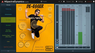 Plug-Ins Efecte MELDA MSpectralDynamics (Produs digital) - 2