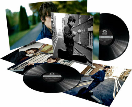LP plošča Jake Bugg - Jake Bugg (Limited Edition) (2 LP) - 2