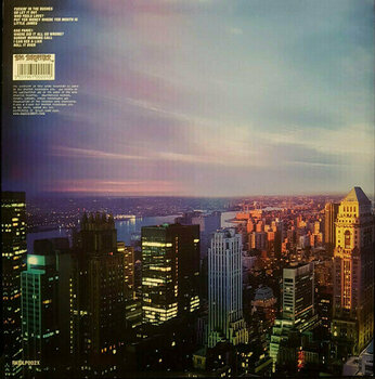 Schallplatte Oasis - Standing On The Shoulder Of Giants (LP) - 4