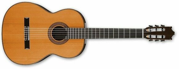 Класическа китара Ibanez G500 NT - 2