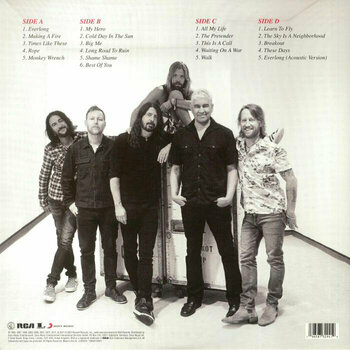 Vinyl Record Foo Fighters - The Essential Foo Fighters (2 LP) - 2