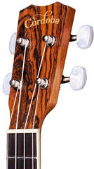Koncertné ukulele Cordoba 15CB Natural Koncertné ukulele - 5