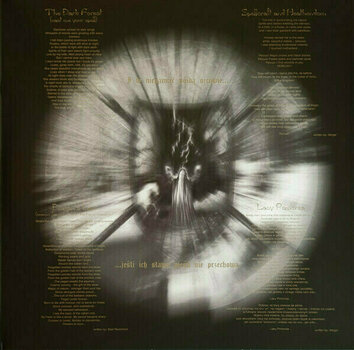 Δίσκος LP Behemoth - Grom (Grey Coloured) (Limited Edition) (LP) - 5