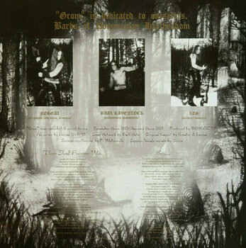 Disque vinyle Behemoth - Grom (Grey Coloured) (Limited Edition) (LP) - 6
