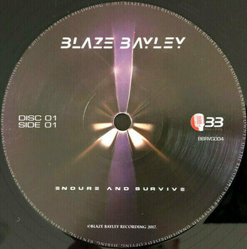 Vinyl Record Blaze Bayley - Endure And Survive (Infinite Entanglement Part II) (2 LP) - 2