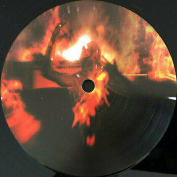 Disco de vinilo Blaze Bayley - Endure And Survive (Infinite Entanglement Part II) (2 LP) - 5