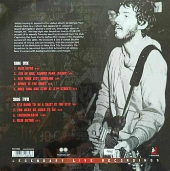 Vinyl Record Bruce Springsteen - Live NYC 1973 (LP) - 2