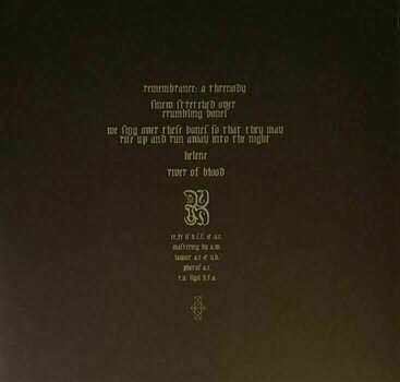 Vinyl Record Common Eider, King Eider - A Wound Of Body (LP) - 2