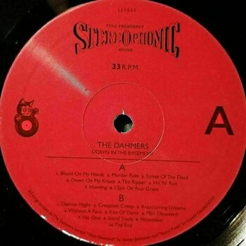 Vinylskiva The Dahmers - Down In The Basement (LP) - 2