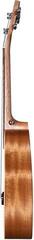 Koncertne ukulele Cascha HH 2606 Art Series Leafy Koncertne ukulele - 3