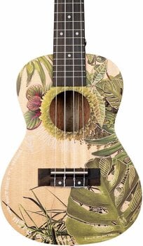 Koncertne ukulele Cascha HH 2606 Art Series Koncertne ukulele Leafy - 8