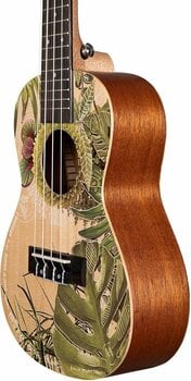 Koncertné ukulele Cascha HH 2606 Art Series Koncertné ukulele Leafy - 9