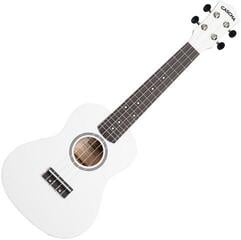 Ukulele da Concerto Cascha CUC106 Linden White Ukulele da Concerto - 3