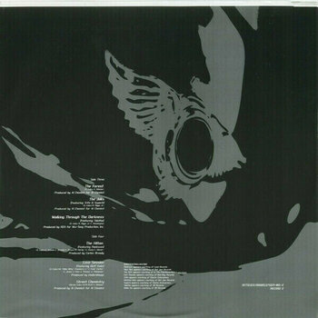 Disc de vinil Ghostface Killah - Bulletproof Wallets (2 LP) (Defect) - 12