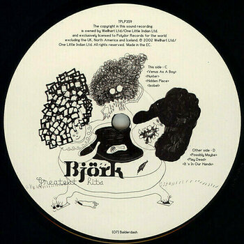 LP Björk - Greatest Hits (2 LP) - 4