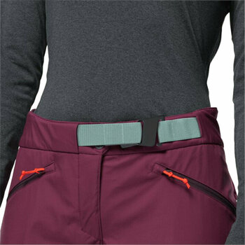 Lyžařské kalhoty Jack Wolfskin Alpspitze W Wild Berry 38 Lyžařské kalhoty - 4