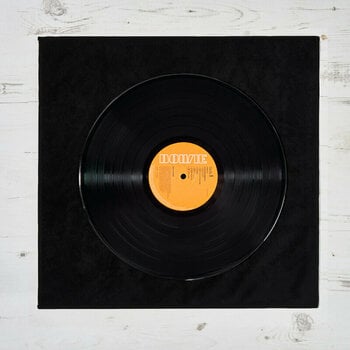 Čistiaci prostriedok pre LP platne My Legend Vinyl Single Microfibre Cloth - 3