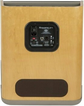 Combo for Acoustic-electric Guitar Fender Acoustic SFX - 4