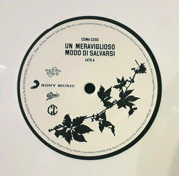 Vinylskiva Coma_Cose - Un Meraviglioso Modo Di Salvarsi (White Coloured) (LP) - 3