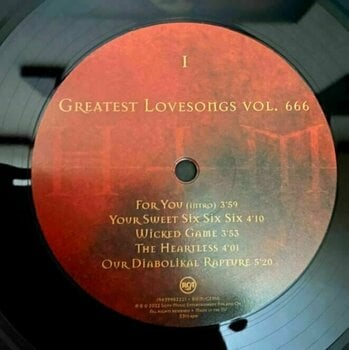 Vinylskiva HIM - Greatest Love Songs Vol.666 (25th Anniversary Edition) (LP) - 3
