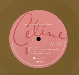 Schallplatte Celine Dion - These Are Special Times (Reissue) (Gold Coloured) (2 LP) - 2