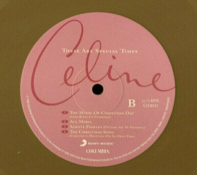Hanglemez Celine Dion - These Are Special Times (Reissue) (Gold Coloured) (2 LP) - 4