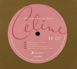 Schallplatte Celine Dion - These Are Special Times (Reissue) (Gold Coloured) (2 LP) - 5