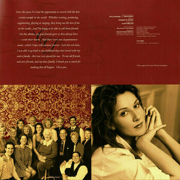LP deska Celine Dion - These Are Special Times (Reissue) (Gold Coloured) (2 LP) - 12