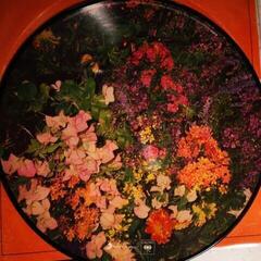 Disco in vinile Calvin Harris - Stay With Me (Picture Disc) (12" Single) - 1