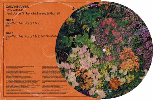 LP deska Calvin Harris - Stay With Me (Picture Disc) (12" Single) - 4