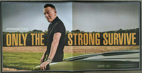 Vinyylilevy Bruce Springsteen - Only The Strong Survive (Gatefold) (Poster) (Etched) (2 LP) - 11