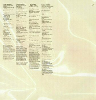 Vinyl Record Celine Dion - Let's Talk About Love (Orange Opaque Coloured) (2 LP) - 6
