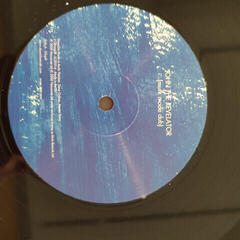 Schallplatte Depeche Mode - Playing The Angel (180g) (Limited Edition) (Poster) (10 x 12" Singles) - 7