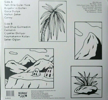 Disque vinyle Altın Gün - On (LP) - 4