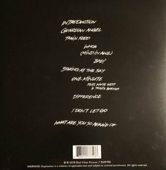 LP XXXTentacion - Skins (Color-In-Color With Splatter Coloured) (LP) - 3