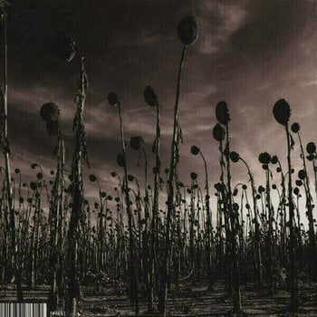 LP Dead Can Dance - Anastasis (2 LP) - 2