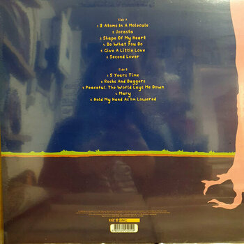 LP plošča Noah And The Whale - Peaceful, The World Lays Me Down (LP) - 2