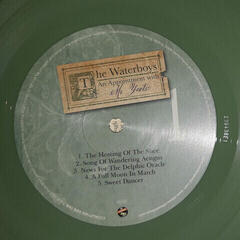 LP deska The Waterboys - An Appointment With Mr Yeats (Green Coloured) (2 LP) - 3