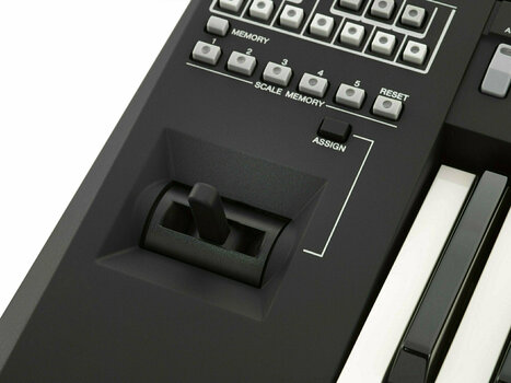 Professional Keyboard Yamaha PSR-A3000 - 2
