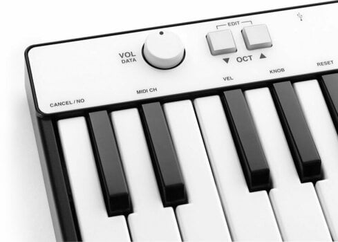 MIDI Πληκτρολόγιο IK Multimedia iRig Keys Mini - 3