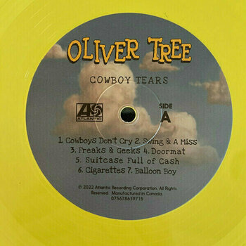 Vinylskiva Oliver Tree - Cowboy Tears (Colour Vinyl) (LP) - 3