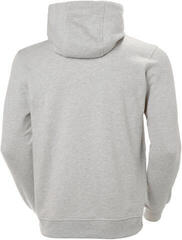 Sweatshirt Helly Hansen Men's HH Logo Hoodie with Hood Grey Melange M - 1