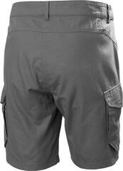 Hlače Helly Hansen Men's Dock Cargo Quiet Shade - 1