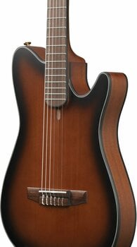 Special Acoustic-electric Guitar Ibanez FRH10N-BSF Brown Sunburst - 6