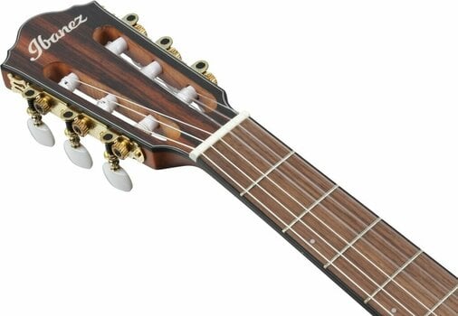 Special Acoustic-electric Guitar Ibanez FRH10N-NTF Natural - 8