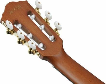 Special Acoustic-electric Guitar Ibanez FRH10N-NTF Natural - 9