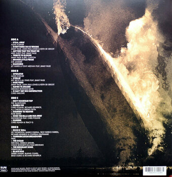 Schallplatte Various Artists - Many Faces Of Led Zeppelin (Transparent Brown Marbled Coloured) (2 LP) - 3