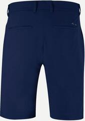 Shorts Kjus Iver Atlanta Blue 30 Shorts - 1